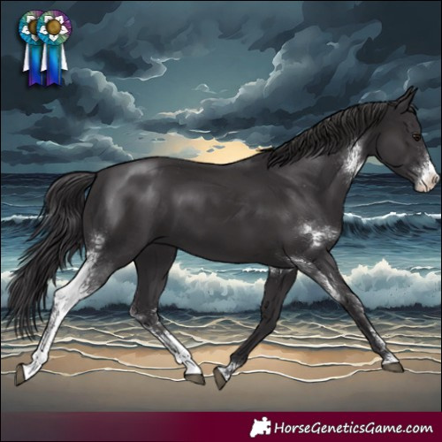 Horse Color:Smoky Black Sabino Rabicano 