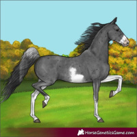 Horse Color:White Spotted Black Sabino Frame