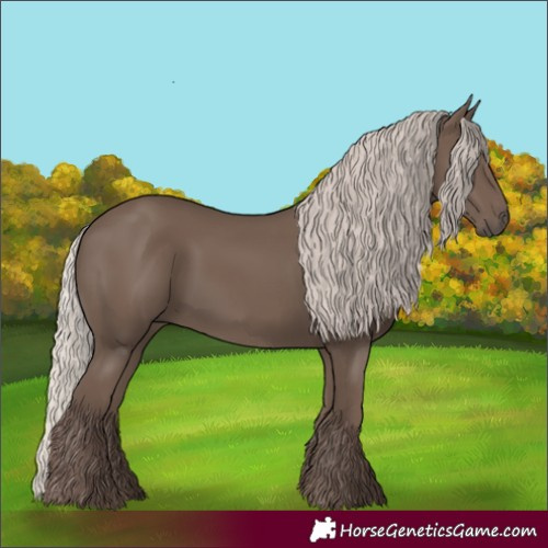 Horse Color:Silver Black
