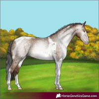 Horse Color:Gray Amber Champagne Tobiano