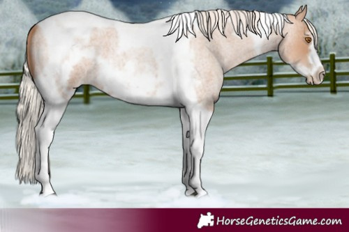 Horse Color:Silver Blue Roan Pearl Tobiano Frame