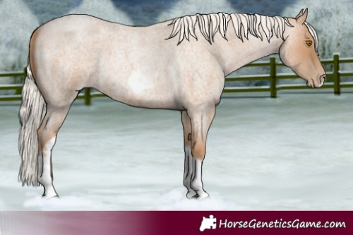 Horse Color:Silver Blue Roan Pearl Tobiano Frame