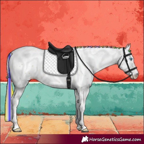 Horse Color:Painted Buckskin Ice Pearl Sabino 