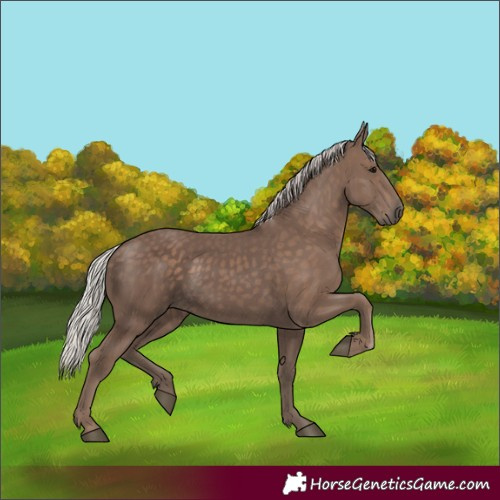 Horse Color:Silver Black 
