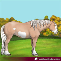 Horse Color:Silver Amber Champagne Frame 