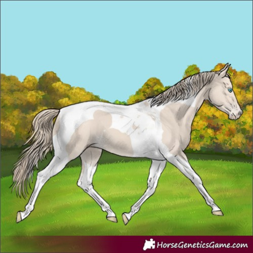 Horse Color:Smoky Creme Tobiano