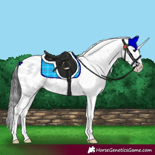 Horse Color:Black Sabino Rabicano 
