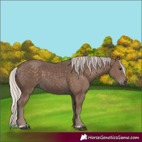 Horse Color:Silver Black