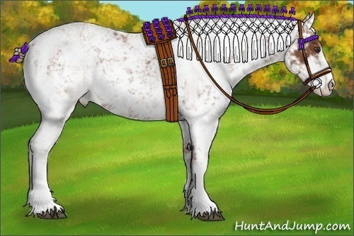 Horse Color:Chestnut Sabino 