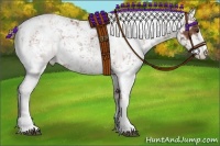 Horse Color:Chestnut Sabino