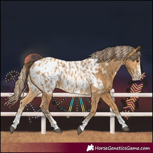 Horse Color:Buckskin Sabino Blanket Rabicano and Palomino Sabino Blanket