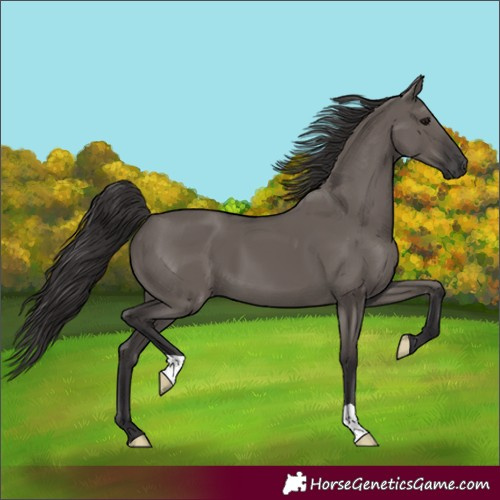 Horse Color:Smoky Grullo 