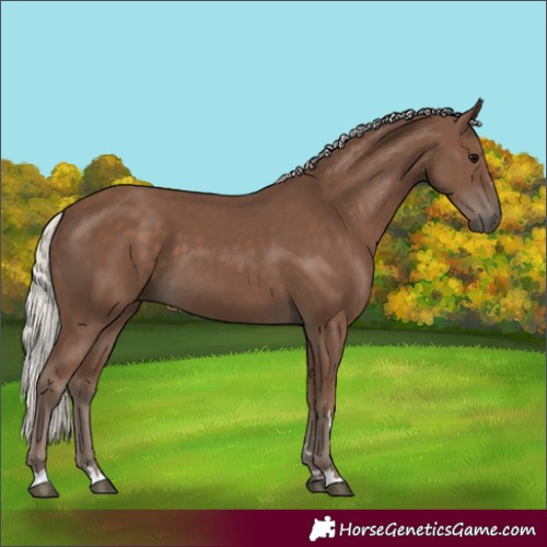 Horse Color:Silver Black