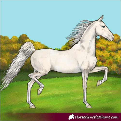 Horse Color:Palomino Pearl Dun Sabino