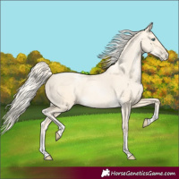 Horse Color:Palomino Pearl Dun Sabino
