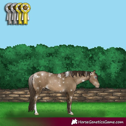 Horse Color:Powder White Gray White Spotted Buckskin Pearl Appaloosa 