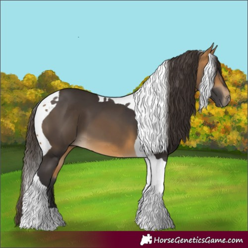 Horse Color:Buckskin Tobiano 