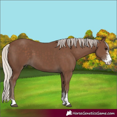 Horse Color:Silver Black Sabino
