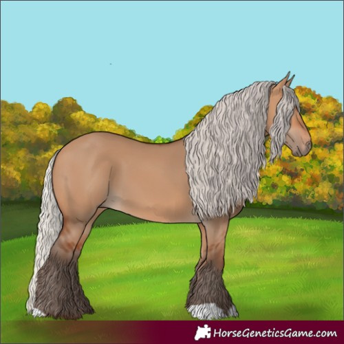 Horse Color:Silver Bay Dun