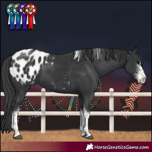 Horse Color:Black Sabino Tobiano Blanket 