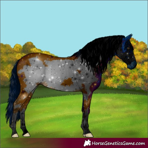 Horse Color:ERROR: UNKNOWN ANOMALY