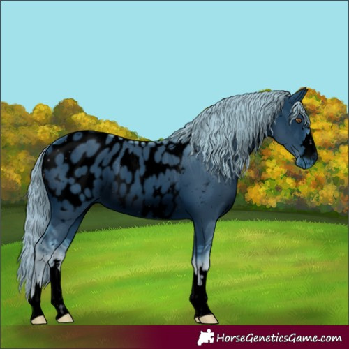 Horse Color:ERROR: UNKNOWN ANOMALY