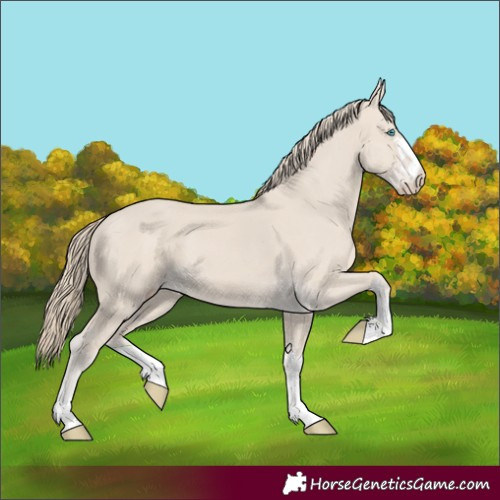 Horse Color:Smoky Creme 