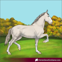 Horse Color:Smoky Creme