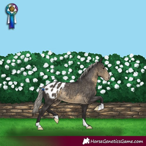 Horse Color:Silver Smoky Black Appaloosa Rabicano 