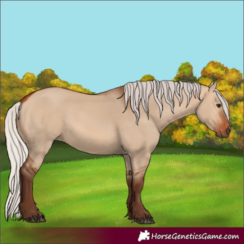 Horse Color:Silver Bay Dun