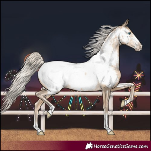 Horse Color:Chocolate Palomino Pearl Sabino Near Fewspot Rabicano 