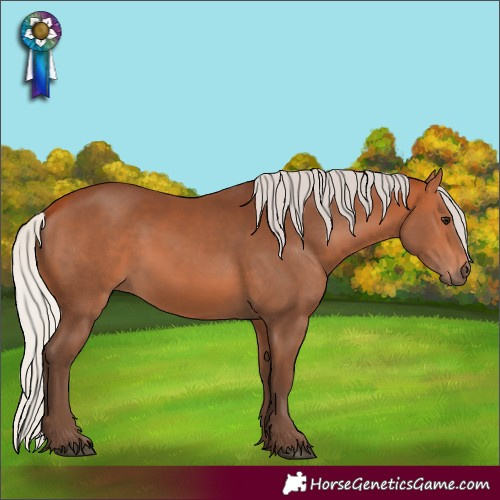 Horse Color:Silver Bay