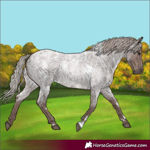 Horse Color:White Spotted Chocolate Silver Blue Roan 