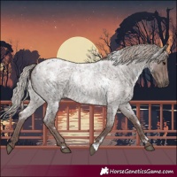 Horse Color:White Spotted Chocolate Silver Blue Roan