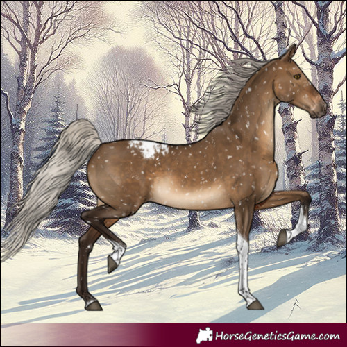 Horse Color:Gray Silver Brown Dun Tobiano Appaloosa Rabicano