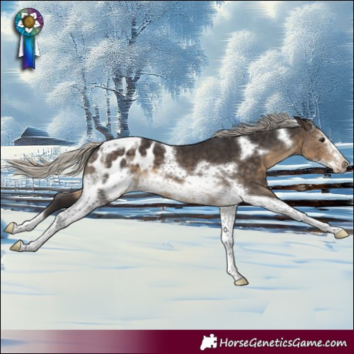 Horse Color:Silver Smoky Black Tobiano Frame Blanket 