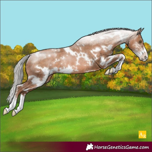 Horse Color:White Spotted Silver Brown Pearl Sabino Rabicano