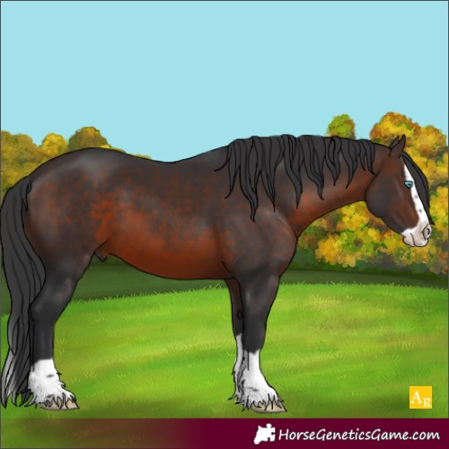 Horse Color:Brown Splash 