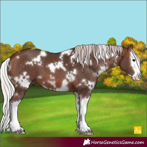 Horse Color:White Spotted Silver Brown Splash