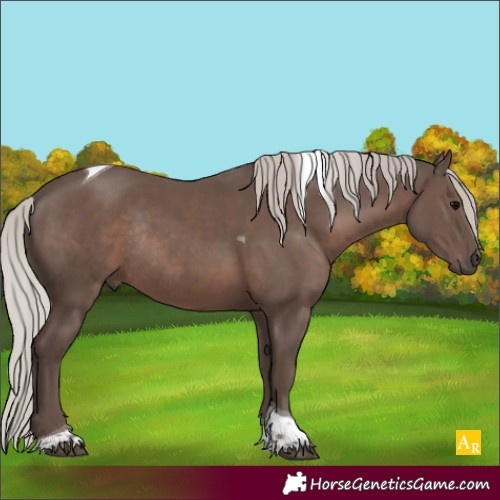 Horse Color:Silver Black Tobiano Rabicano 