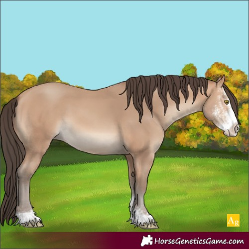 Horse Color:Amber Champagne Sabino