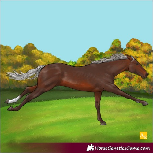 Horse Color:Silver Brown Sabino