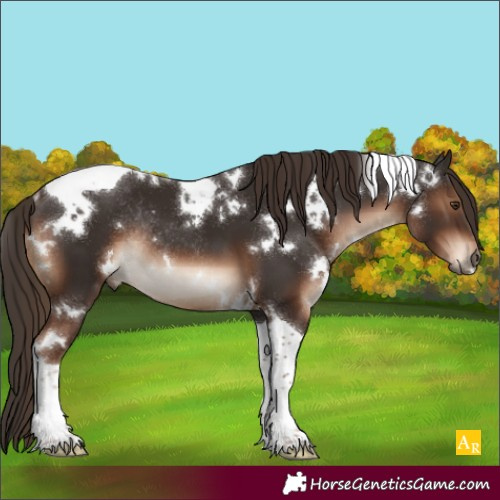 Horse Color:White Spotted Liver Chestnut Tobiano Rabicano