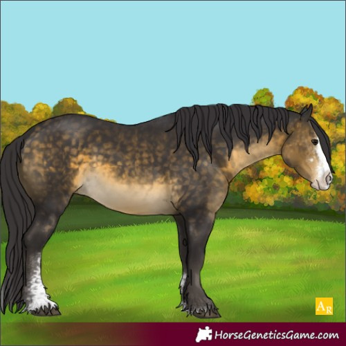 Horse Color:Buckskin Sabino Splash Rabicano