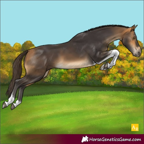 Horse Color:Buckskin Tobiano Rabicano