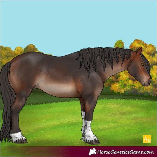 Horse Color:Bay Tobiano Rabicano