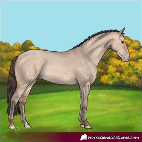 Horse Color:Amber Champagne Dun