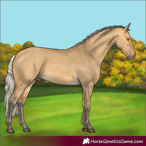 Horse Color:Silver Buckskin Dun 