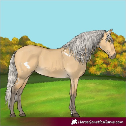 Horse Color:White Spotted Silver Buckskin Dun Rabicano