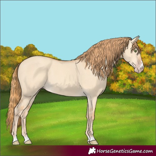 Horse Color:Gold Champagne Dun 